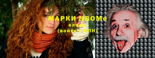 не бодяженный Новозыбков